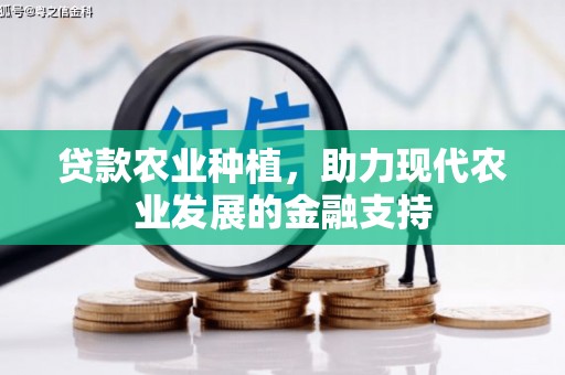 岳塘贷款农业种植，助力现代农业发展的金融支持