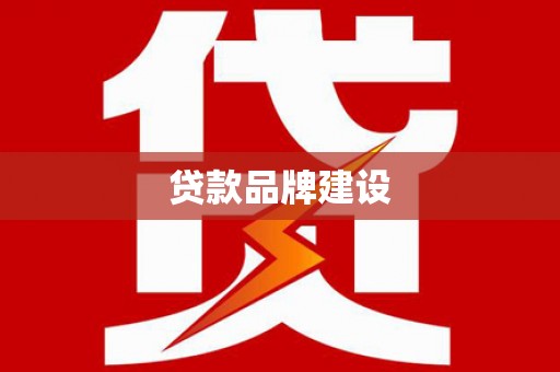 岳塘贷款品牌建设