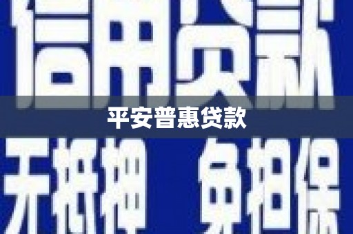 岳塘平安普惠贷款