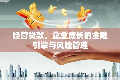 岳塘经营贷款，企业成长的金融引擎与风险管理