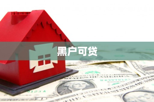 岳塘黑户可贷