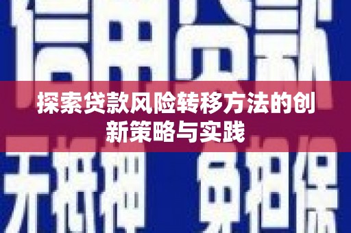 岳塘探索贷款风险转移方法的创新策略与实践