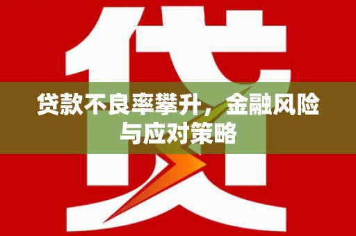 岳塘贷款不良率攀升，金融风险与应对策略