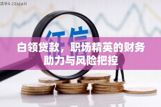 岳塘白领贷款，职场精英的财务助力与风险把控