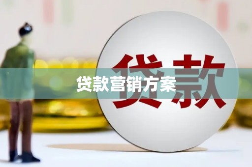 岳塘贷款营销方案